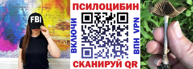 Галлюциногенные грибы GOLDEN TEACHER  Тайшет 