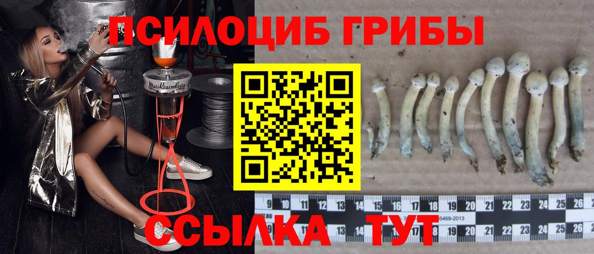 Галлюциногенные грибы Psilocybine cubensis  Псилоцибиновые грибы Magic Shrooms  Тайшет 